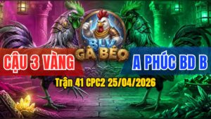 Trận 41 CPC2 25/04/2026 - Khét Trâu Nhưng Điều Đá Lâu Cũng Chạy