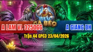 Trận 44 CPC3 23/04/2026 - Điều Đá Bo Lớn Bướm Té Ngang Hết Đứng