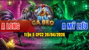 Trận 5 CPC2 28/04/2026 - Mỹ Liều Hạ Long Bằng Chân Nghiệt Quá Hay