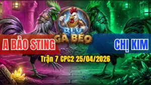 Trận 7 CPC2 25/04/2026 - Anh Nu Chấp Bảo Sting 4 Chấm Và Cái Kết Cho Sự Ngông Cuồng