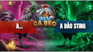 Trận 2 Bồ Hoàng Diệu 3/5/2026 - Bảo Sting Thắng Trận Gà Quá Hay