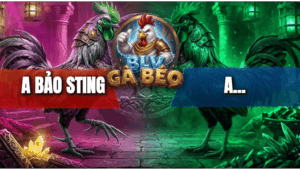 Trận 4 Bồ Hoàng Diệu 3/5/2026 - Bảo Sting Bao Bồ Hoàng Diệu Hôm Nay