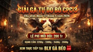 Giải Gà Tự Do Bồ CPC3 Ngày 17/5/2026