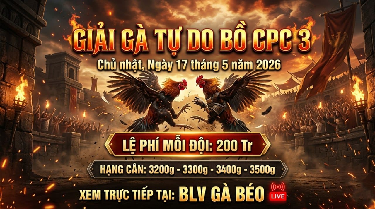 Giải Gà Tự Do Bồ CPC3 Ngày 17/5/2026