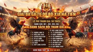 Giải Gà Tự Do Bồ Xà Xía 7/5/2026