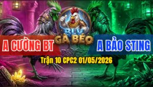Trận 10 CPC2 01/05/2026 - Đẳng Cấp Bảo Sting Thắng Trận Gà Quá Hay