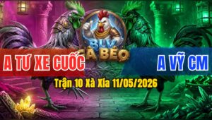 Trận 10 Xà Xía 11/05/2026 - Anh Tư Gặp Anh Vỹ Cà Mau