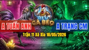 Trận 11 Xà Xía 10/05/2026 - Anh Tuấn Anh Gặp Trạng Cà Mau