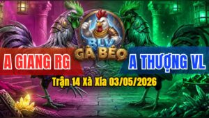 Trận 14 Xà Xía 03/05/2026 - Đỏ Ra Cựa Khủng Xanh Bưng Ra
