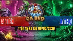 Trận 15 Xà Xía 09/05/2026 - Anh Tiền Gặp Anh Thọ