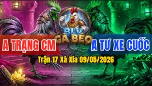 Trận 17 Xà Xía 09/05/2026 - Anh Trạng Gặp Tư Xe Cuốc