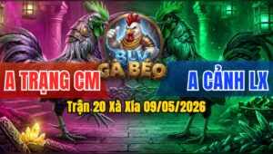 Trận 20 Xà Xía 09/05/2026 - Anh Trạng Gặp Anh Cảnh Long Xuyên