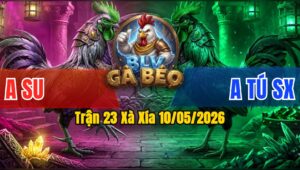 Trận 23 Xà Xía 10/05/2026 - Anh Su Gặp Tú Sóc Xoài