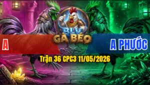 Trận 36 CPC3 11/05/2026 - Anh Phước Hạ Đối Thủ Thành Công