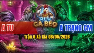 Trận 6 Xà Xía 08/05/2026 - Anh Tư Xe Cuốc Gặp Anh Trạng