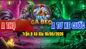 Trận 8 Xà Xía 10/05/2026 - Anh Thọ Gặp Tư Xe Cuốc